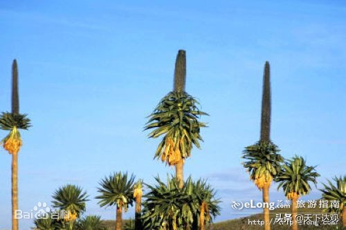 非洲史|亚的斯亚贝巴：埃塞俄比亚的首都，350万人，非洲最高城市