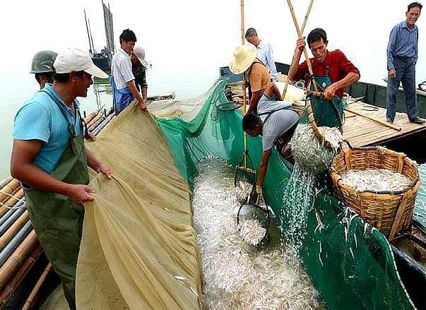 承包千亩水库!投放30万尾小鱼苗,收获季节却满脸愁容,什么情况