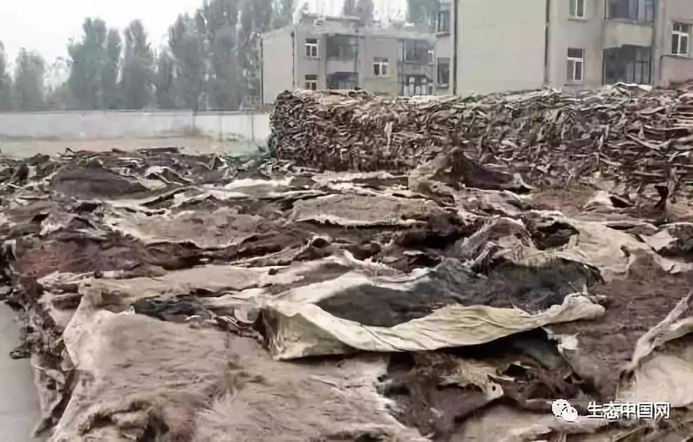 浼犺涓殑闃胯兌,閭ｄ簺琚璇濈殑闃胯兌