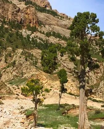 这条最“咸”最彩的公路,治好了我*藏西**的病,解掉了我*疆新**的毒