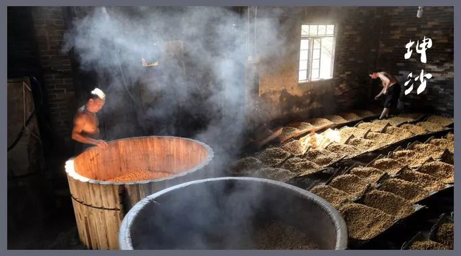 生肖王子龙年测评,生肖王子酒值不值得购买