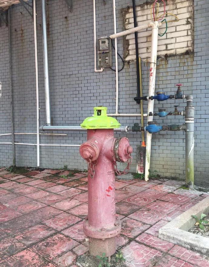 遇到蟑螂该怎么处理快速解决,捉到一只蟑螂怎么办