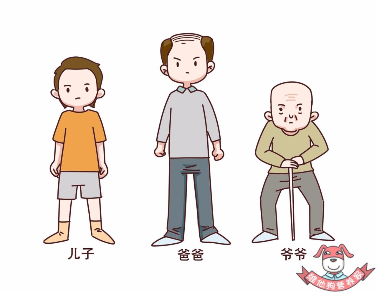 史上最强防脱发指南,脱发严重这个防脱发妙招很好用