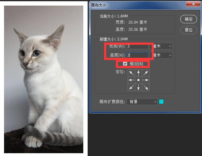 白底照片怎么拍怎么制作,如何制作无接缝照片教程