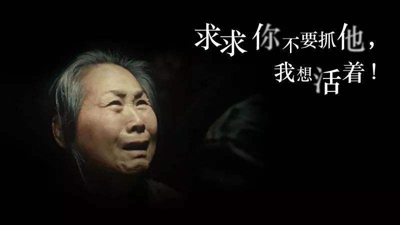 值得重温的十大冷门佳片1995年篇,近十年十部公认最好看的电影