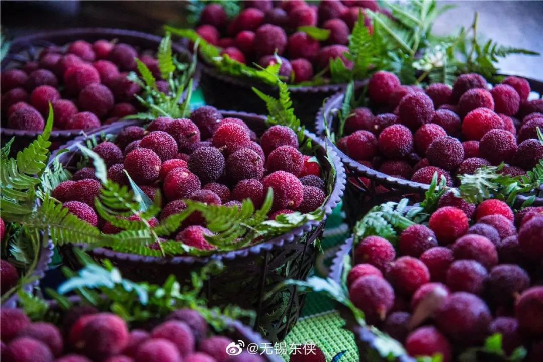 吃上一颗杨梅,正宗苏州杨梅