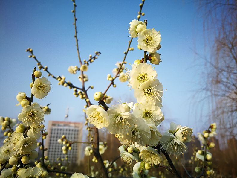 漫步河畔公园全景图,漫步公园美景