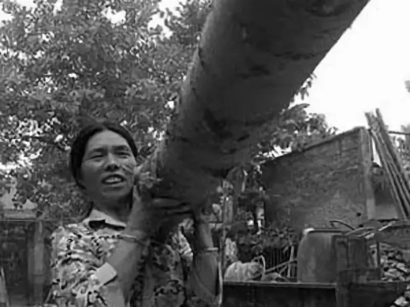 四十年不睡觉的人视频,40年不睡觉的人