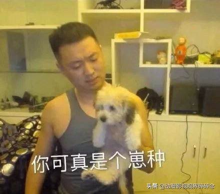 猫零食智商税10连，铲屎官的钱都是大风刮来的吗？