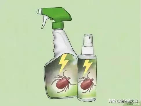 消灭蜱虫的药,蜱虫的毒性有多强