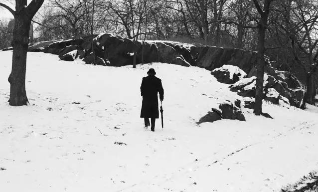 木心的诗从前慢,木心秋天的风都是从往年吹来的