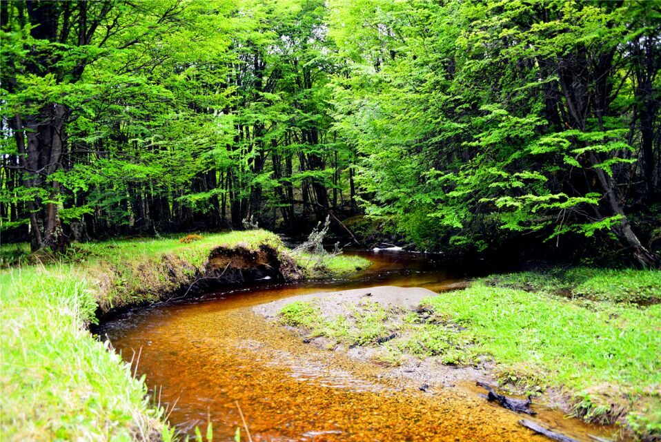 g20阿根廷峰会各国领导入场,阿根廷g20峰会各国领导抵达现场