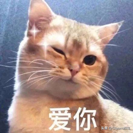 steam上可多人联机的免费休闲游戏,steam远程同乐支持的游戏