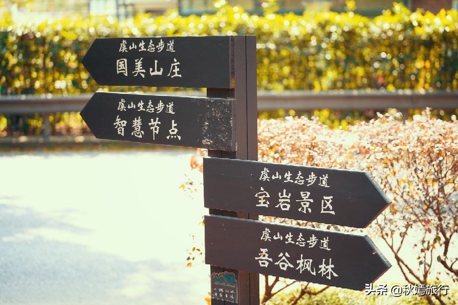 常熟网红枫林秋意盎然，游客络绎不绝，百年老店五道菜肴165元