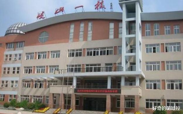 沈阳市最好的小学都是哪几个,沈阳最好的公办小学排名