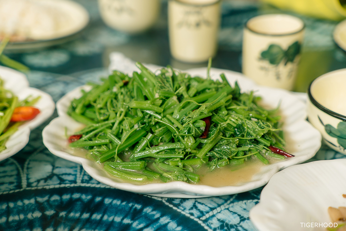 太格有物怎么样,太格有物