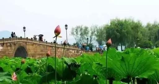 34个省市的文化符号有哪些 (人民日报34个省份文化符号)