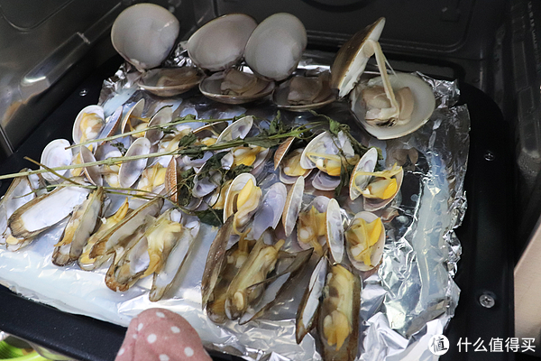 如何用最新款格兰仕微蒸烤一体机,格兰仕微蒸烤一体机q3测评