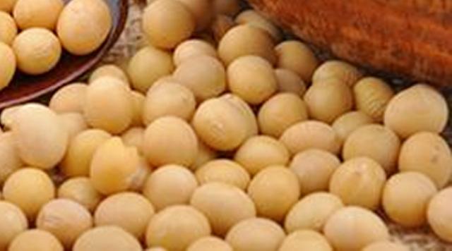 东北大豆价最新行情,东北大豆最新行情