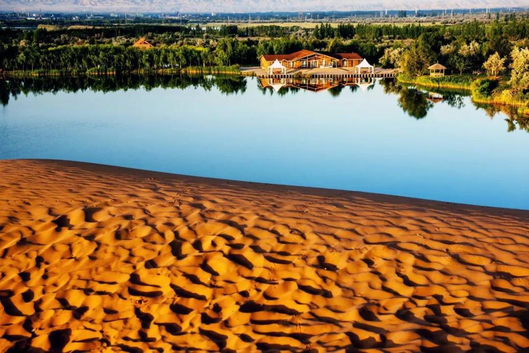 中卫金沙岛风景点介绍,中卫金沙岛震撼花海