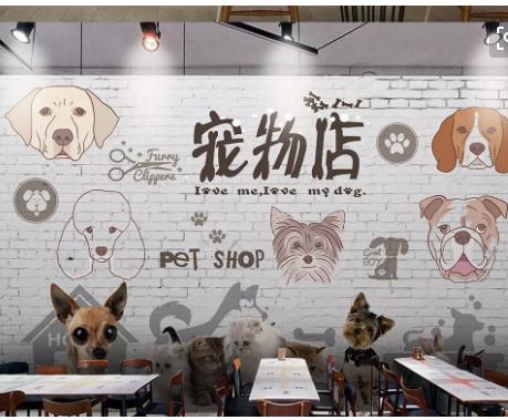 宠物行业的创业方向,关于宠物的创业点子