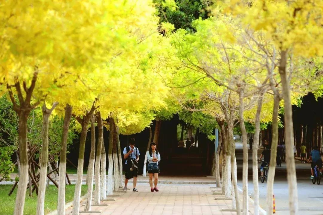 知云时代教育科技有限公司,知云时代教育招生