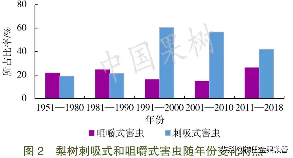 梨树花序分离期病虫害,梨树刺吸式害虫危害幼果