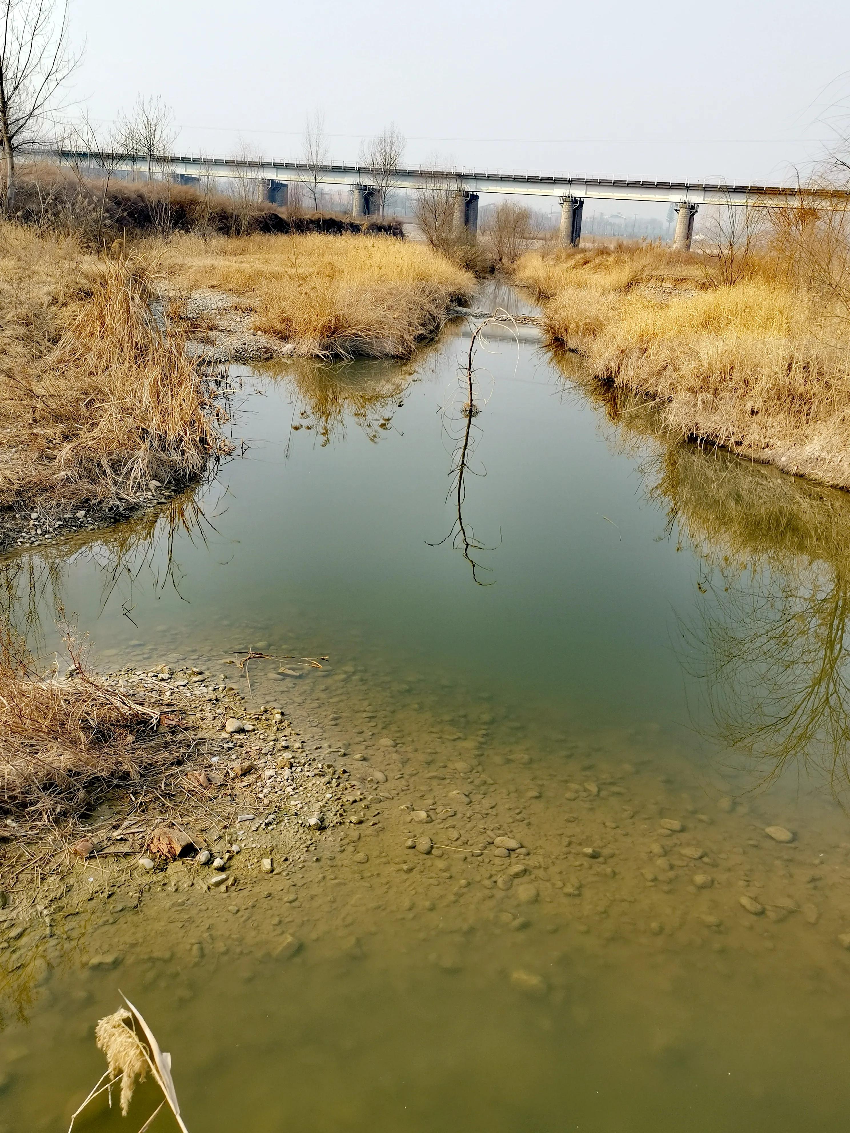 大年初一逛栎阳湖湿地公园，柳色遥看近吐绿，春归石川河！