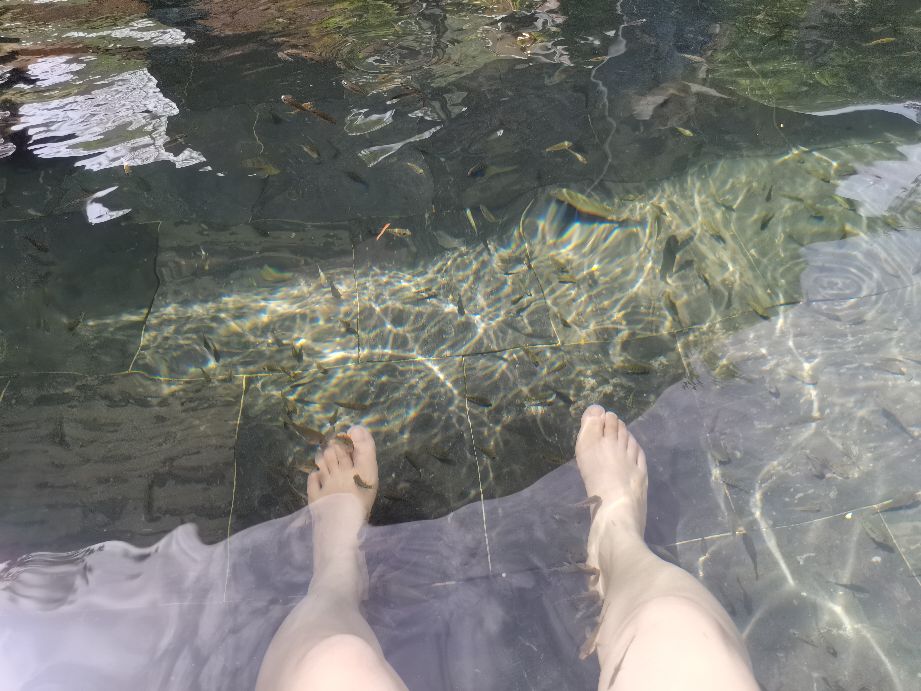 太白山凤凰温泉酒店在哪一块,太白山凤凰温泉酒店b楼