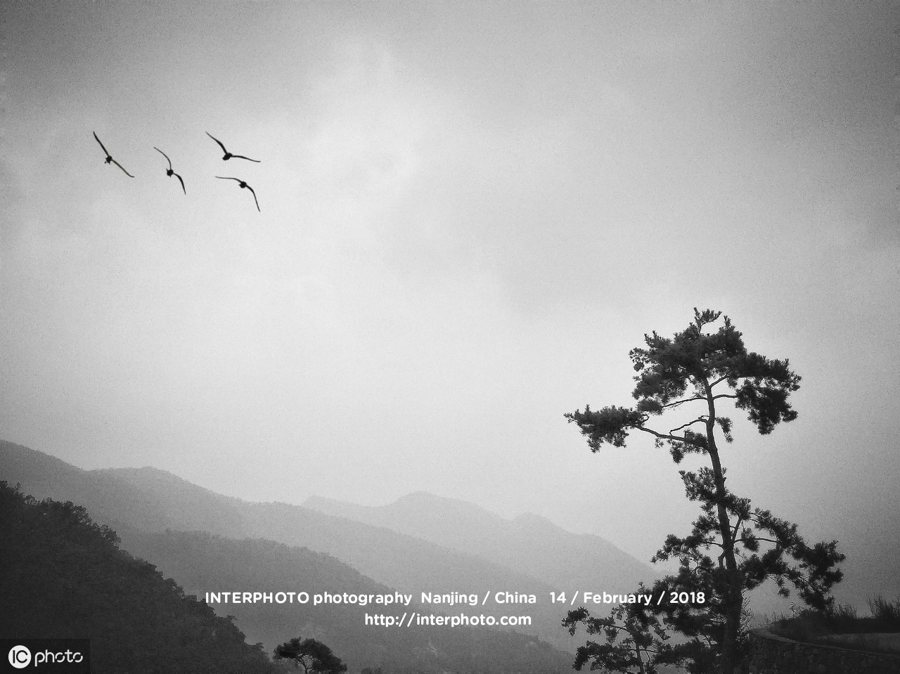 怀孕后辞职在家,怀孕期间因为工作焦虑