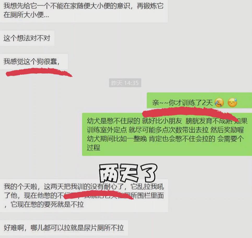 狗在睡觉的地方拉屎怎么办,狗狗定点大小便笼养10天还是不会
