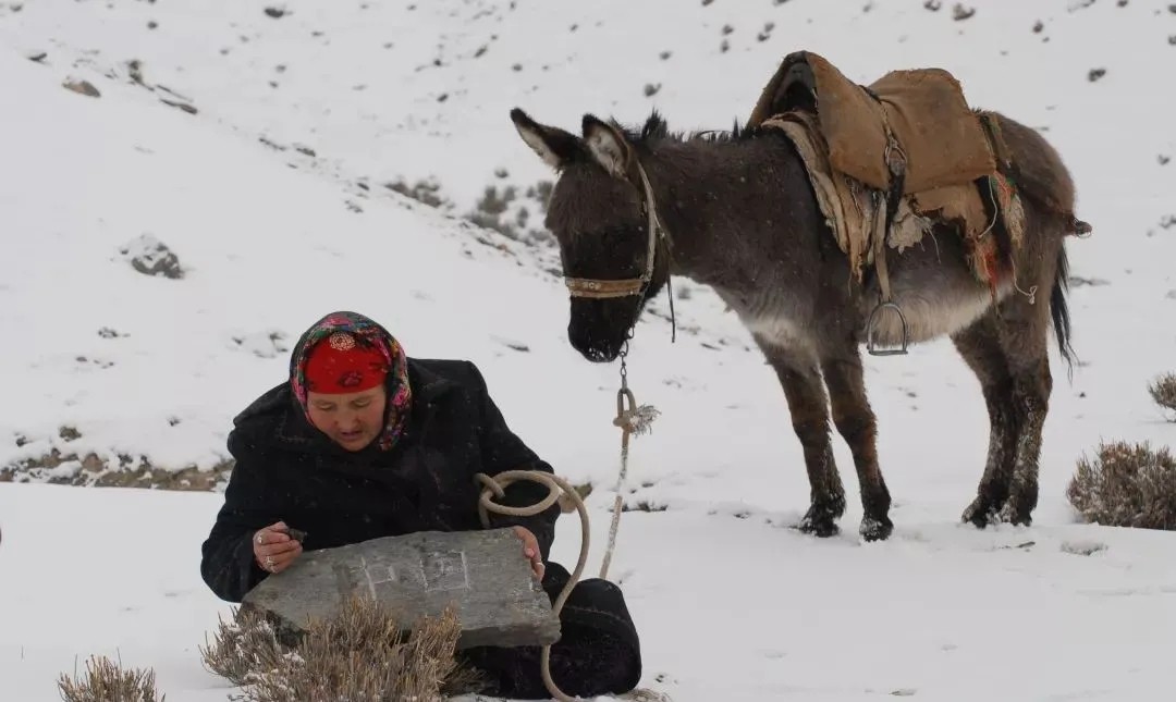 她用58年在边界刻下十万块中国石，荣获“人民楷模”称号