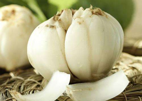 百合病害能治好吗,百合十种病害防治