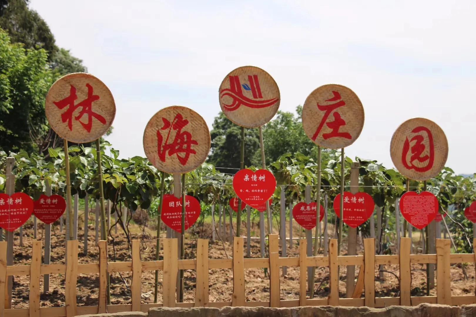 2020乡村振兴补贴新政策出台,乡村振兴2023最新政策解读