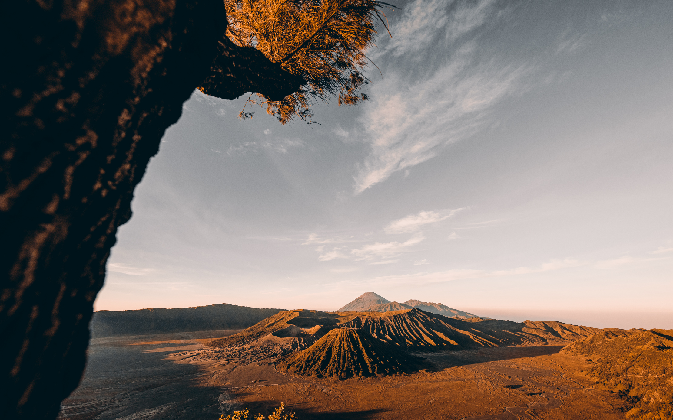 马小路et1541和pt15,马小路et1541和et2541区别