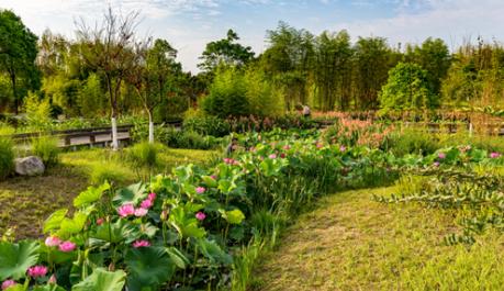 李子柒令人向往的世外桃源生活,李子柒记录的简单淳朴的田园生活