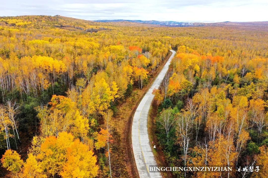 深秋的大兴安岭色彩斑斓,大兴安岭的秋天美景