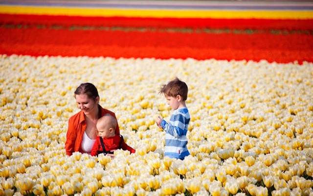 正品海外代购网站哪个最好,哪个平台海外代购是正品