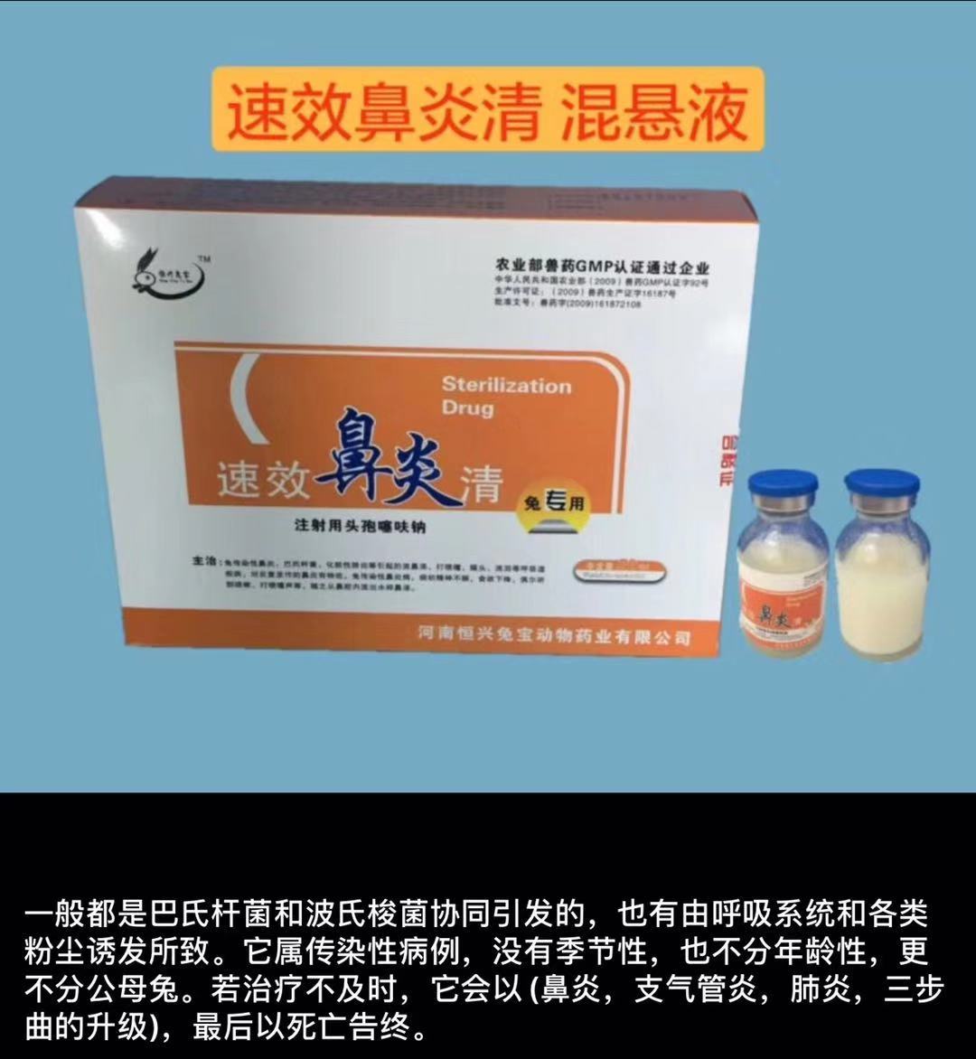 养兔必备药,新手养兔兔需要准备的药品