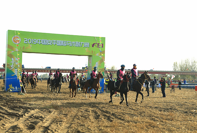 一马当先震撼视频,一马当先看起来很长的题目