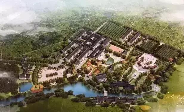 柳州哪个片区更适合生活？