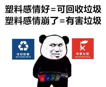 怀孕了还是想养猫猫狗狗怎么办?华西专家:可以养,但绝不能随便养!