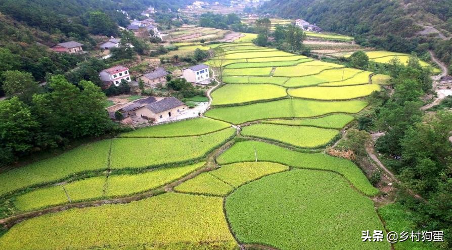 农村确权后宅基证为什么迟迟不发,农村宅基地为什么不发确权证