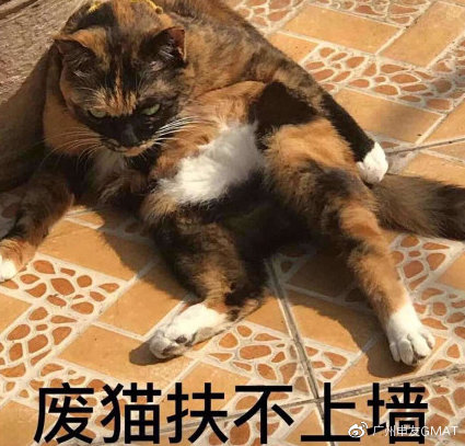 gmat鍜屼笓鍥涘摢涓毦,gmat鍜岄泤鎬濆洓鍏骇