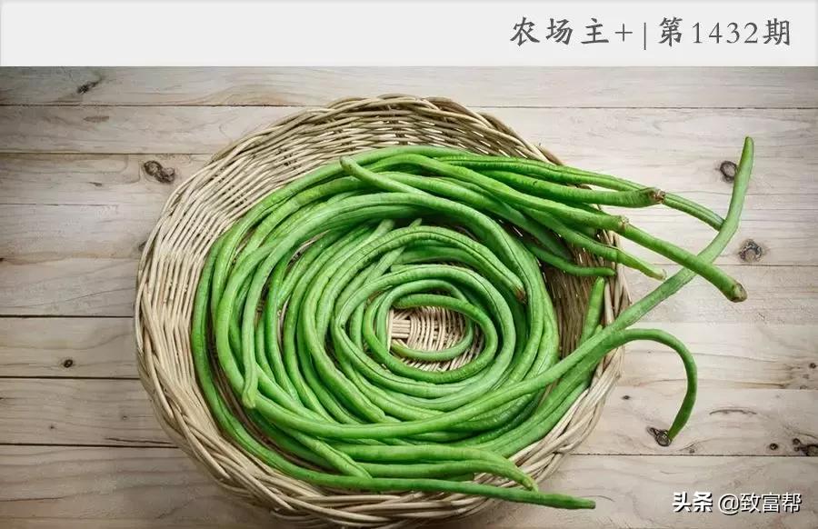 90后母亲被骗,90后妈妈因造假走红