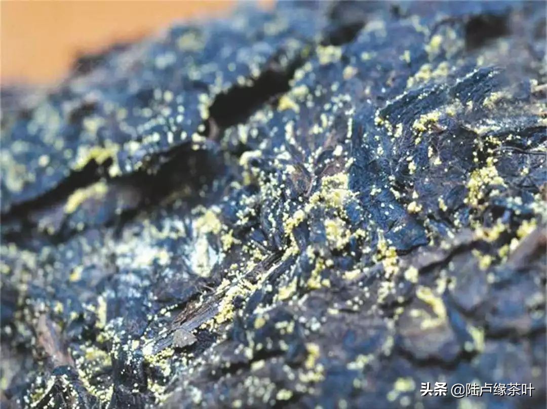 茶毫发霉和白霜的区别,发霉的生茶怎么处理好喝