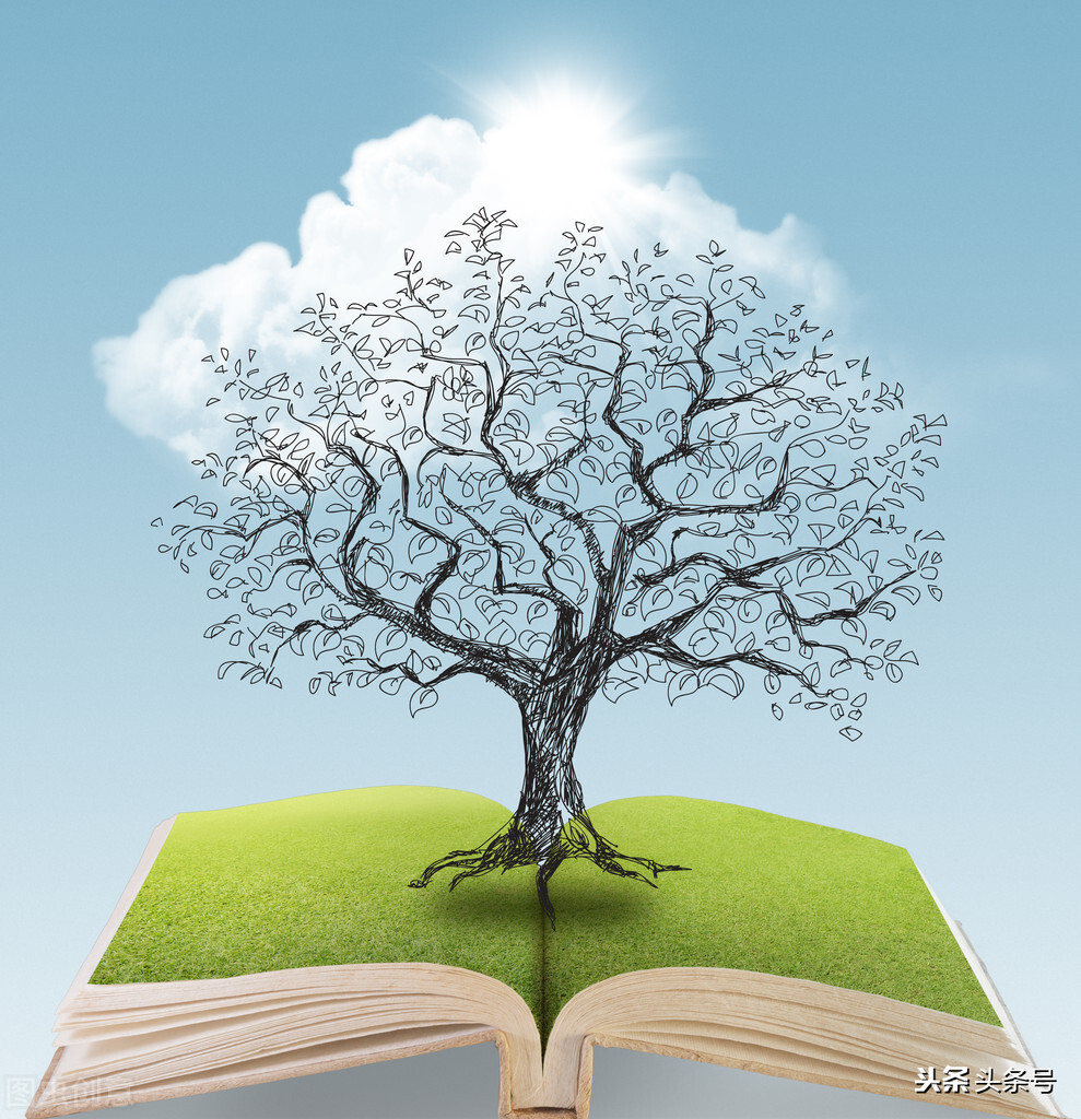 品牌的起源,品牌起源故事