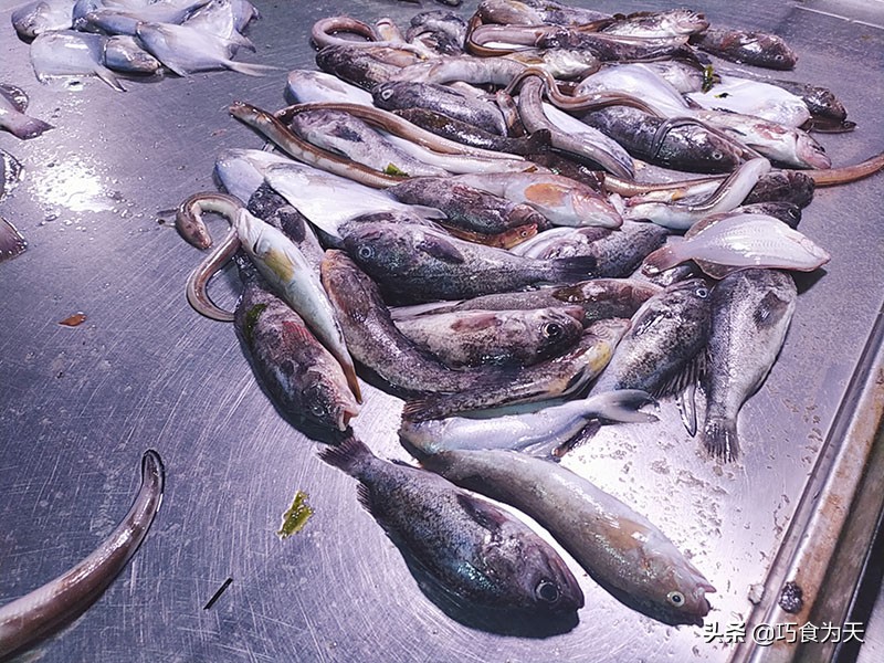 夏季卖鱼用什么可以保鲜,怎么保存活鱼最新鲜