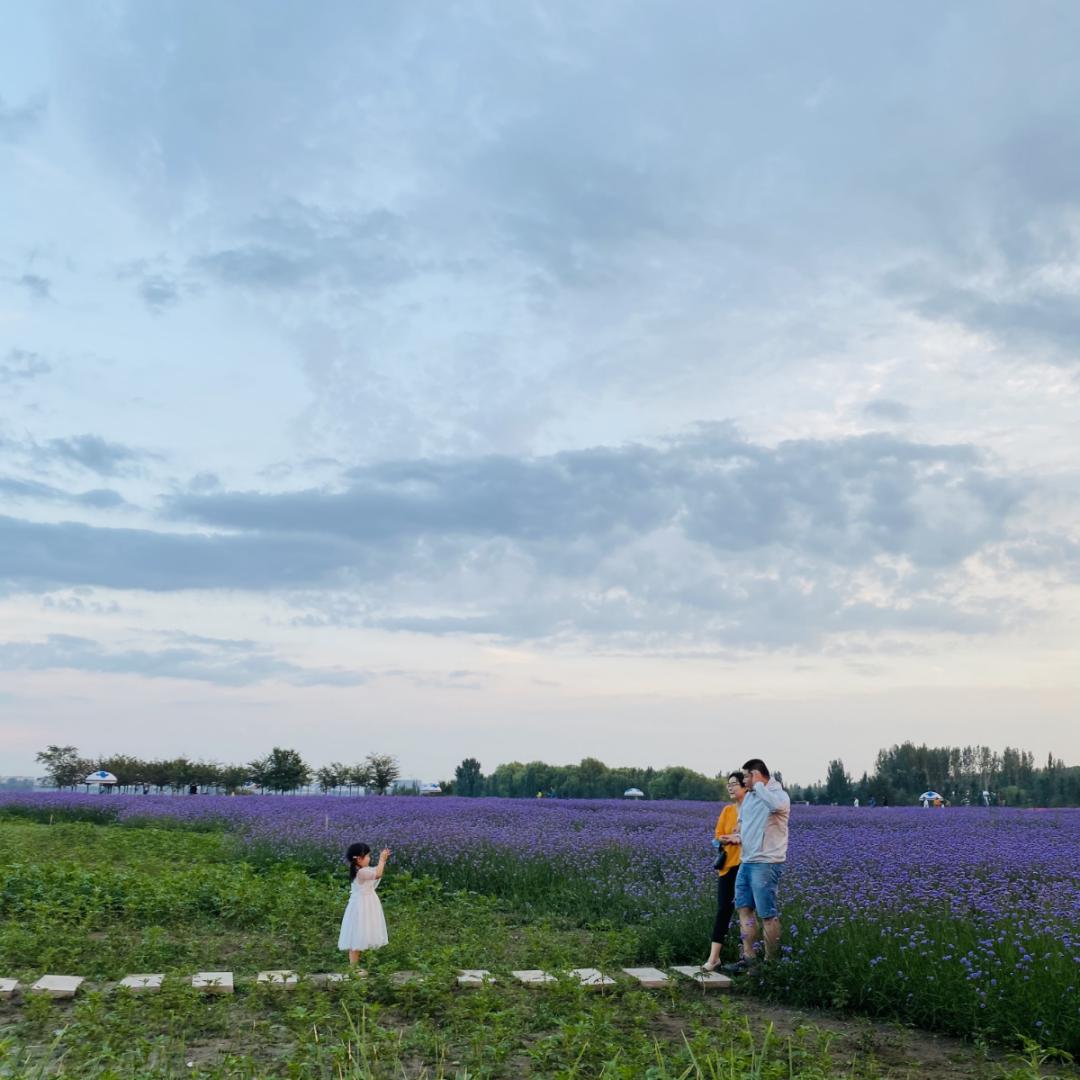 包头市城市之美,美丽的内蒙包头