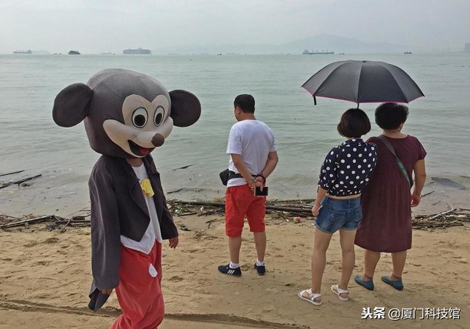 2018年厦门旅游购物陷阱,厦门旅游防被坑